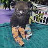 deejaysoda Altpins Profile Picture