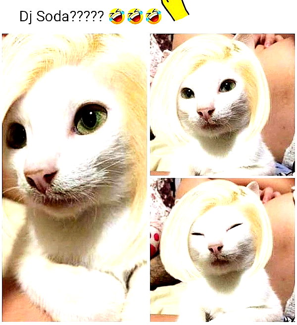 deejaysoda instagram image archive image