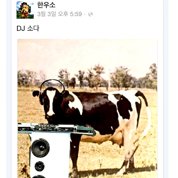 deejaysoda instagram image archive image