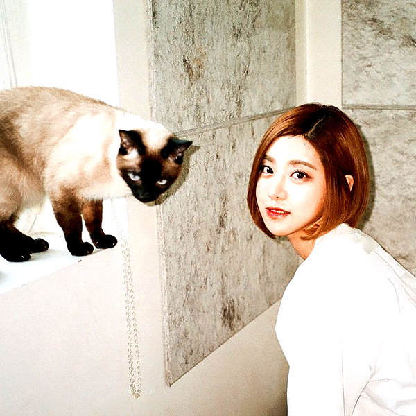 deejaysoda instagram image archive image