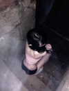 delicatedo11y Altpins Profile Picture
