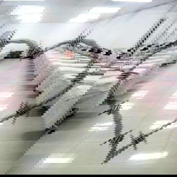 delicatedo11y delicatedo11y archive image