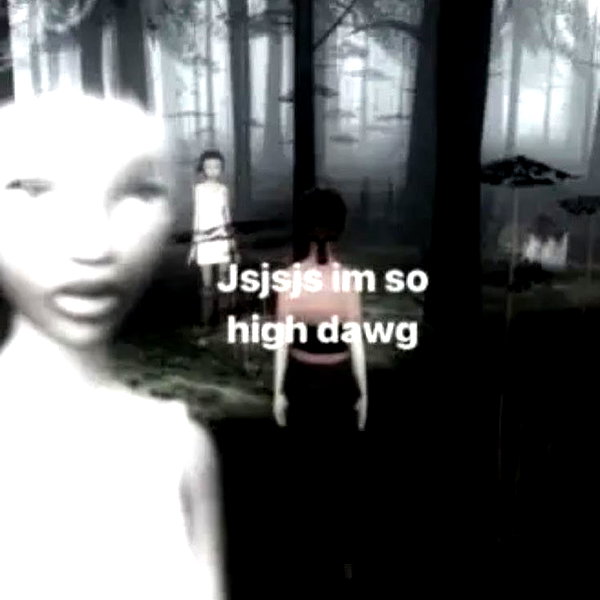 delicatedo11y instagram image archive image