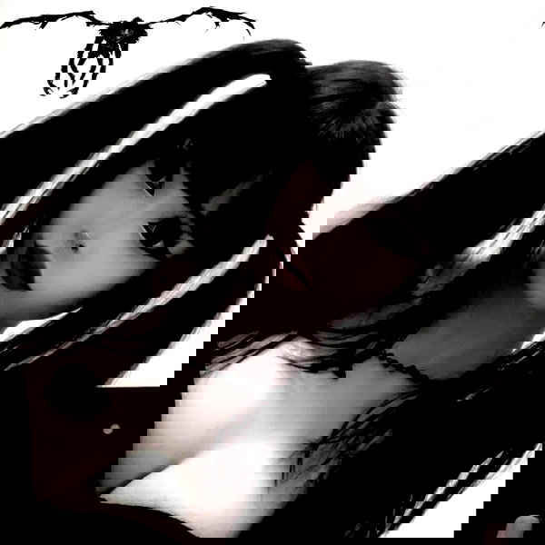 delicatedo11y delicatedo11y archive image