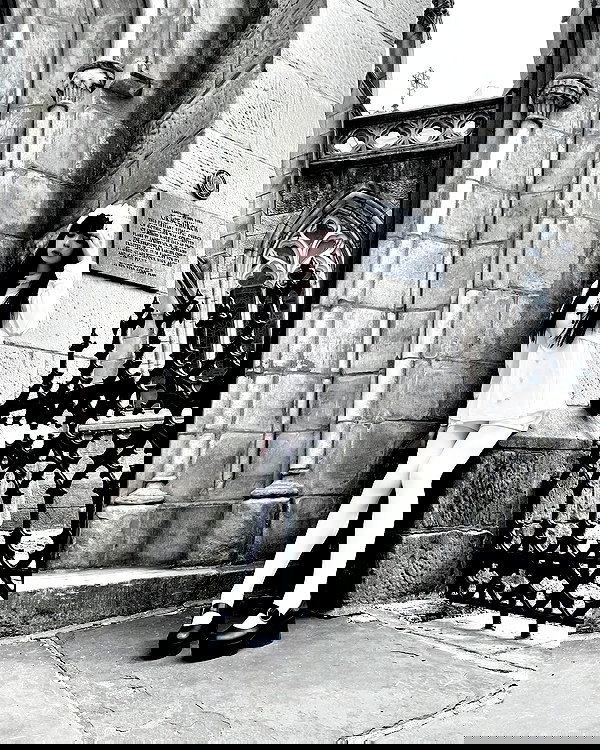 delicatedo11y delicatedo11y archive image