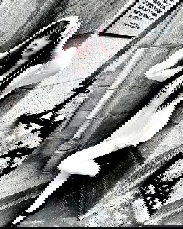 delicatedo11y delicatedo11y archive image