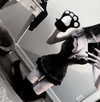 delicatedo11y Altpins Profile Picture