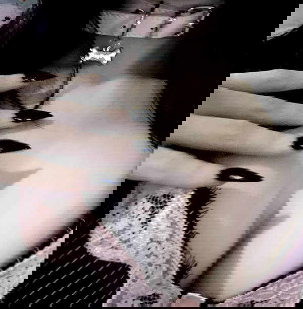 delicatedo11y delicatedo11y archive image