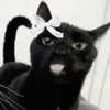 delicatedo11y Altpins Profile Picture