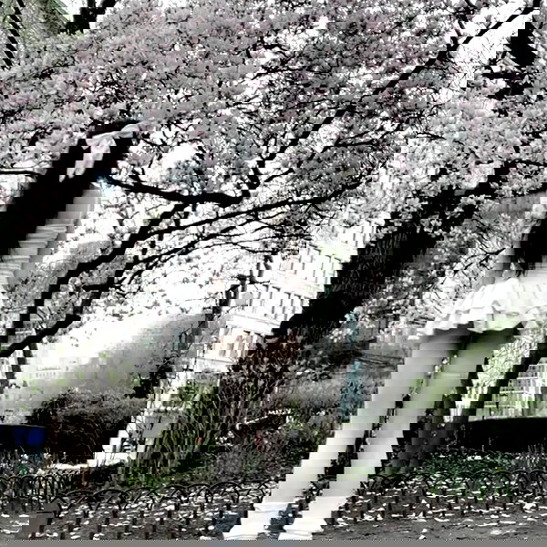 delicatedo11y delicatedo11y archive image