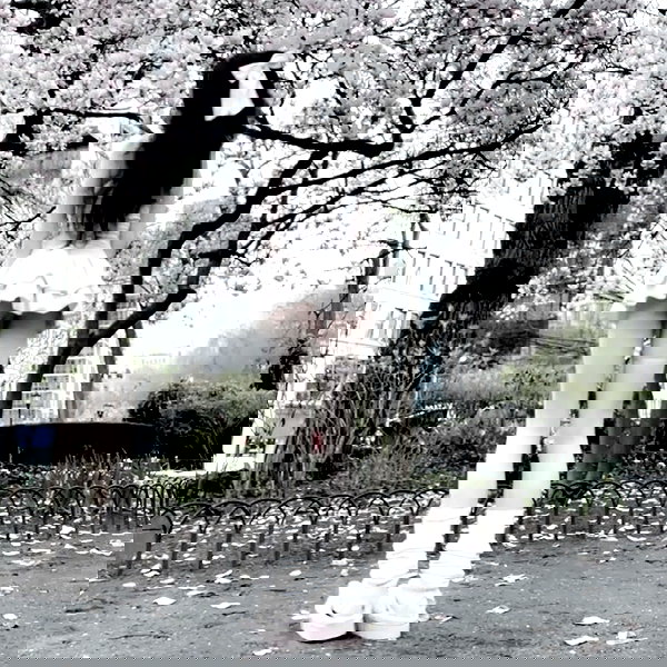 delicatedo11y delicatedo11y archive image