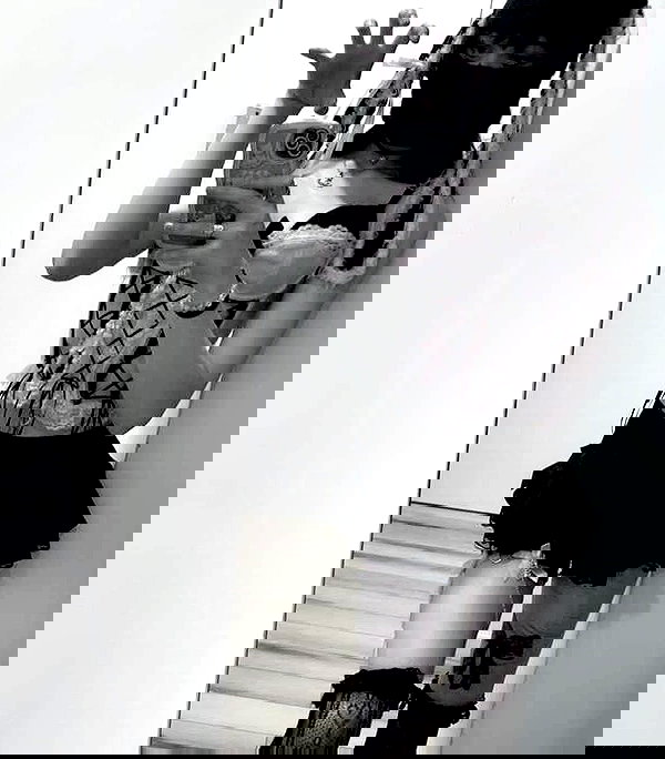 delicatedo11y delicatedo11y archive image