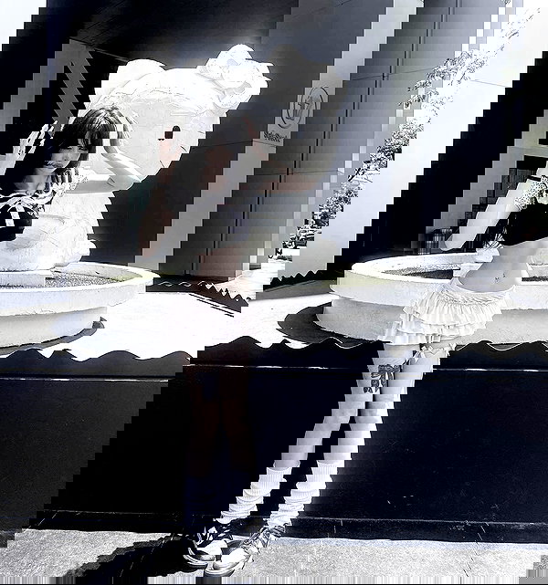 delicatedo11y delicatedo11y archive image