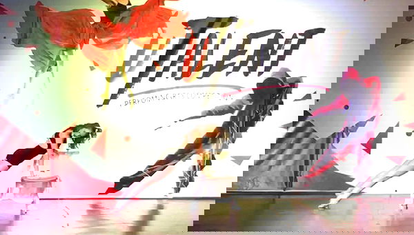 diana_polin diana_polin archive image