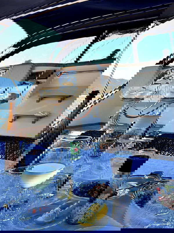 diana_polin diana_polin archive image