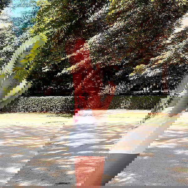 diana_polin diana_polin archive image