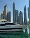 diana_tal_ Altpins Profile Picture
