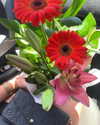 diaz._g Altpins Profile Picture
