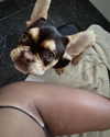 diaz._g Altpins Profile Picture