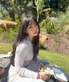 dinasaur_0_0_ Altpins Profile Picture