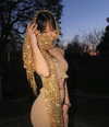 dinasaur_0_0_ Altpins Profile Picture