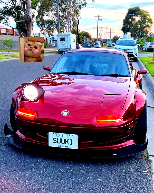 dinasaur_0_0_ instagram image archive image