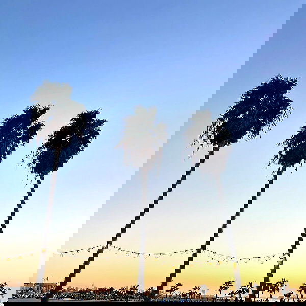 djami.lyalya djami.lyalya archive image