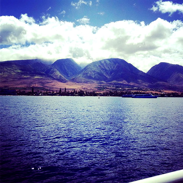 doaenel instagram image archive image