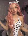 dollblush Altpins Profile Picture