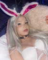 dollblush Altpins Profile Picture
