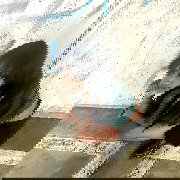 dolllyfied dolllyfied archive image