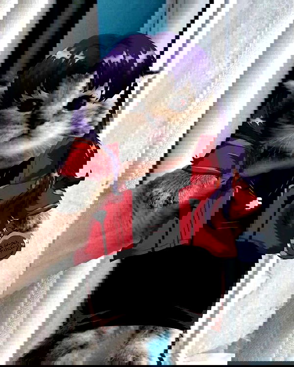 dolllyfied dolllyfied archive image