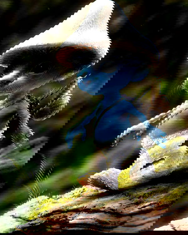 dolllyfied dolllyfied archive image