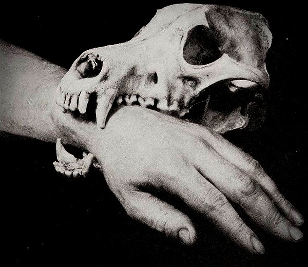 dollparts444 instagram image archive image