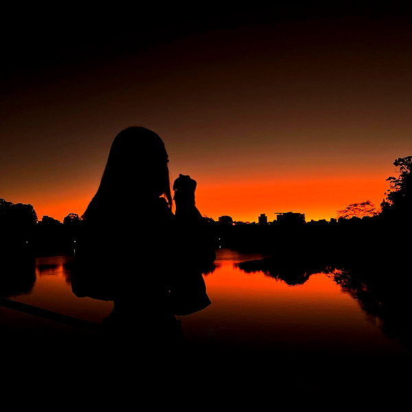 domelipa instagram image archive image
