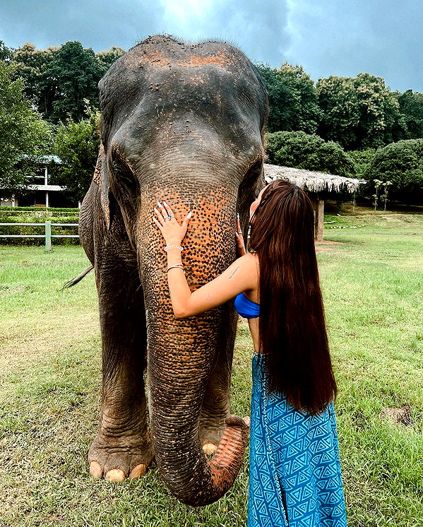 domelipa instagram image archive image