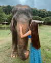 domelipa Altpins Profile Picture