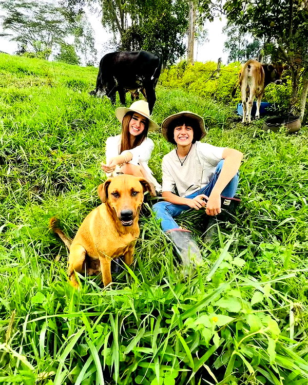 domelipa instagram image archive image