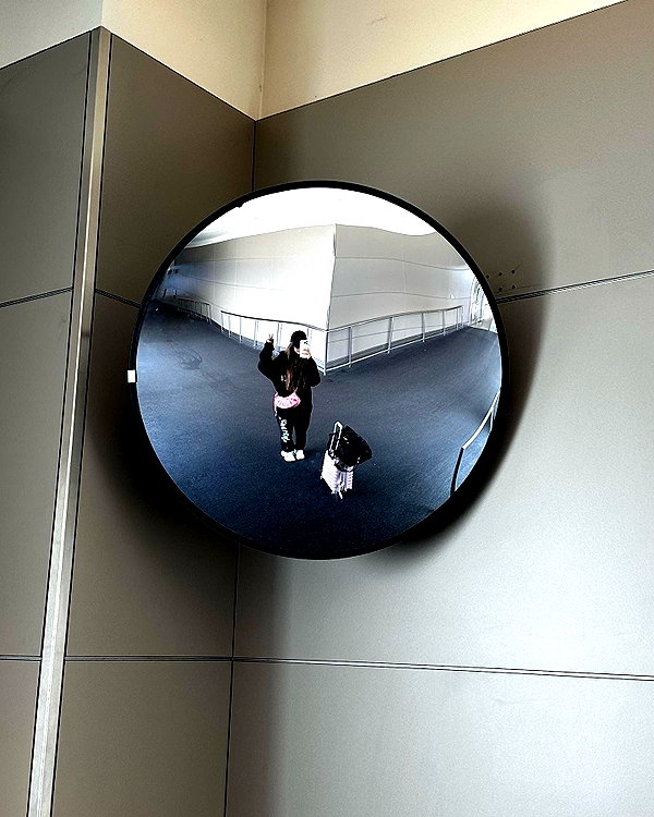 domelipa instagram image archive image