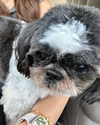 domelipa Altpins Profile Picture