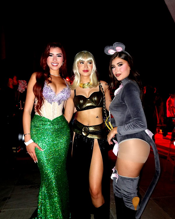 domelipa instagram image archive image