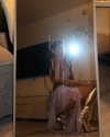 domelipa Altpins Profile Picture