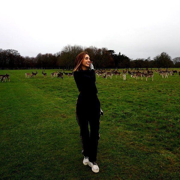domelipa instagram image archive image