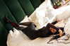dominatrixdeva Altpins Profile Picture