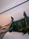 dominatrixdeva Altpins Profile Picture