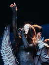dovecameron Altpins Profile Picture