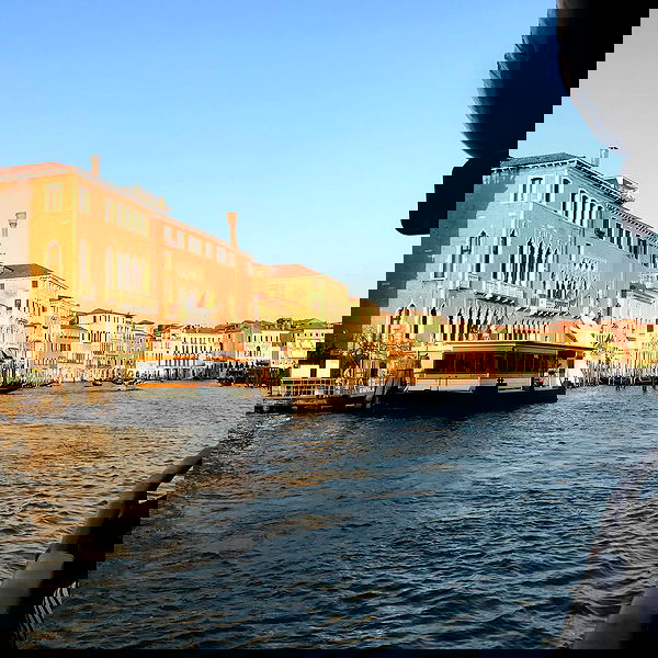 dracuina image ~ Altpins