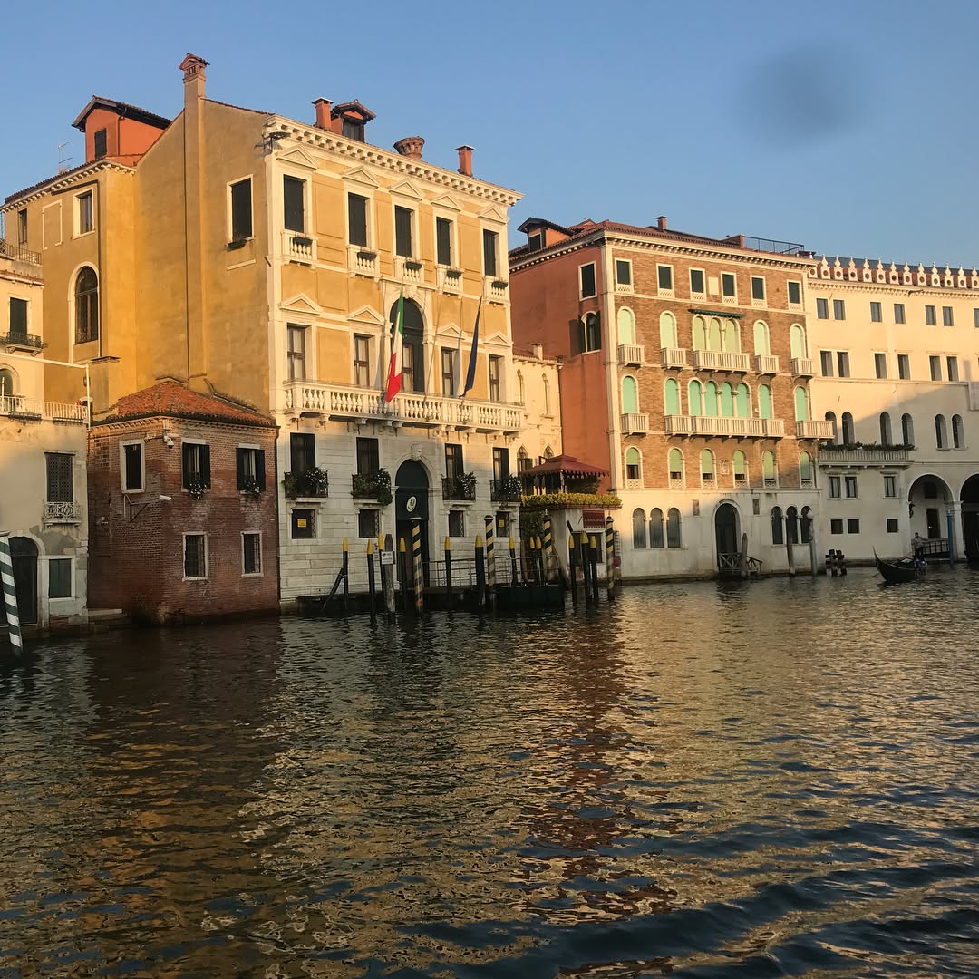 dracuina instagram image archive image