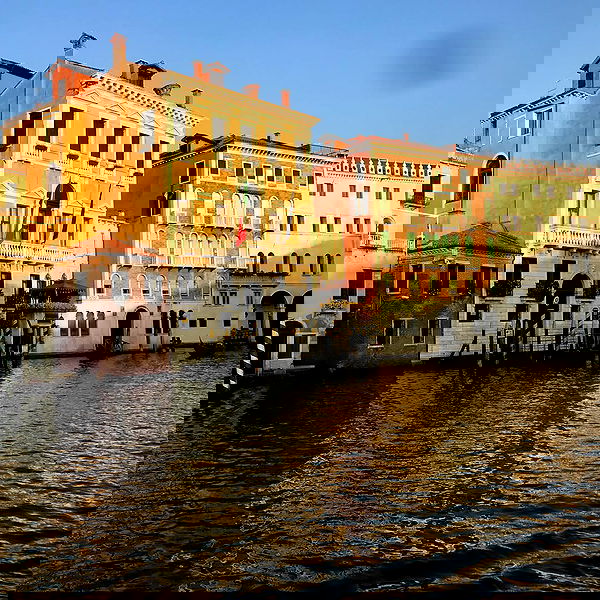 dracuina image ~ Altpins