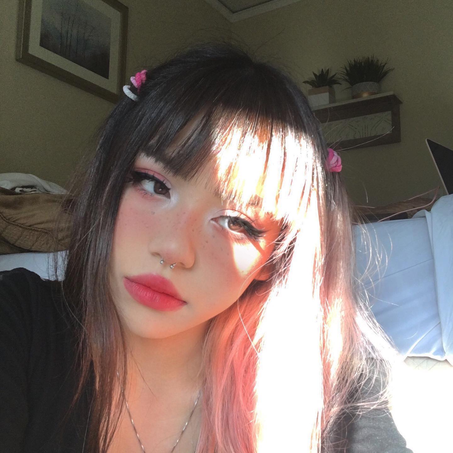 dracuina instagram image archive image